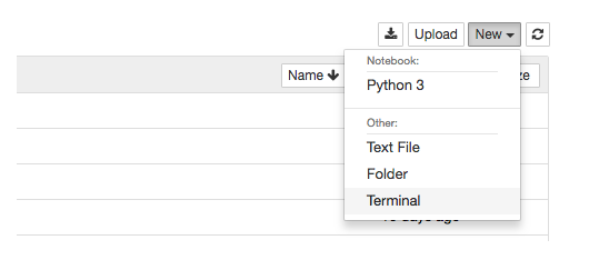 Terminal in Jupyter